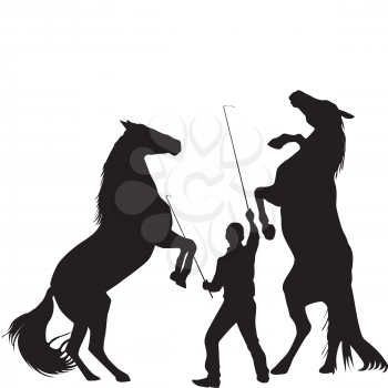 Silhouette of a man trainig two horses to rearing up