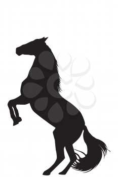 Silhouette of rearing up horse on white background