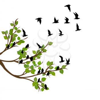 Flock of flying birds on tree branch