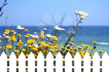 White fence on the background of a sea shore with wild flowers mix 