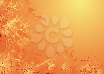 Royalty Free Clipart Image of a Floral Frame on Orange