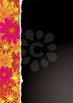 Royalty Free Clipart Image of a Black Background With a Floral Border