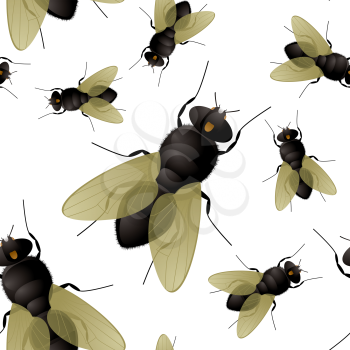Royalty Free Clipart Image of a Fly Background