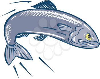 Royalty Free Clipart Image of an Angry Fish