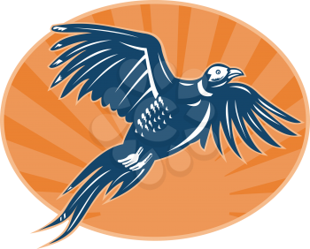 Royalty Free Clipart Image of a Pheasant in Flight