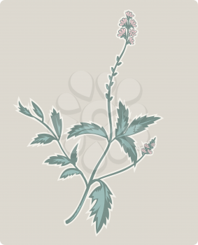 Royalty Free Clipart Image of a Wildflower