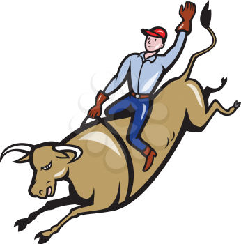 Illustration of rodeo cowboy riding bucking bull on isolated white background