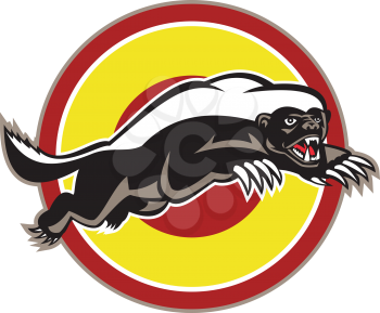 Illustration of a honey badger (Mellivora capensis) mascot also known as ratel leaping viewed from side set inside circle on isolated white background.