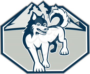 Illustration of a Siberian Husky dog with mountains in background set inside octagon shape on white background done in retro style.