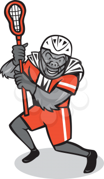Illustration of a gorilla ape lacrosse player wearing helmet and holding lacrosse stick set on isolated white background done in cartoon style. 