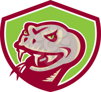 Illustration of a viper snake serpent head showing fangs set inside shield crest on isolated background done in retro style. 