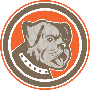 Illustration of a bulldog dog mongrel head mascot showing tongue set inside circle on isolated background done in retro style.