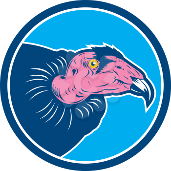 Illustration of a Vulture California Condor head viewed from side set inside circle on isolated white background done in retro style.