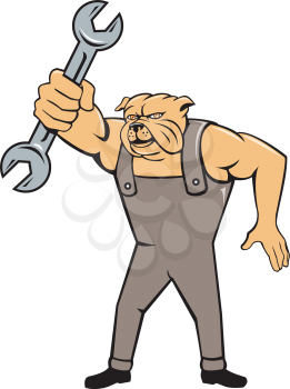 Illustration of a bulldog mechanic standing holding spanner facing front set on isolated white background done in cartoon style.