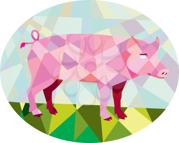 Low polygon style illustration of a tamworth pig standing viewed from the side set inside oval. 
