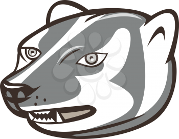 Illustration of a badger head looking to the side set on isolated white background done in cartoon style. 