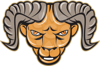 Illustration of a ram head facing front set on isolated white background done in cartoon style. 