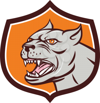 Illustration of an angry pitbull dog mongrel head viewed from the side set inside shield crest on isolated background done in cartoon style. 