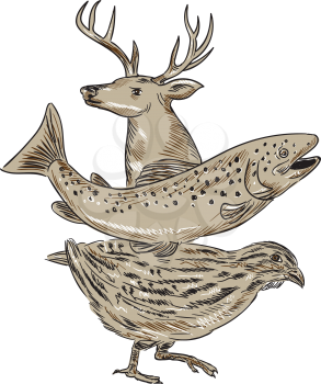 Drawing sketch style illustration of a deer, trout and quail viewed from the side set on isolated white background. 