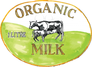 Drawing sketch style illustration of an organic milk label showing a cow with its calf suckling set inside oval shape with words Organic Milk 1 litre.