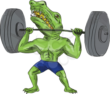 Illustration of Sobek also called Sebek, Sochet, Sobk, and Sobki an ancient Egyptian deity with head of crocodile and body of a man lifting a barbell viewed from front set on isolated white background