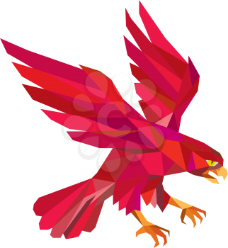 Low polygon style illustration of a peregrine falcon hawk eagle bird swooping viewed from the side set on isolated white background. 
