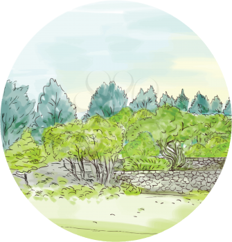 Watercolor style illustration of trees in park nature reserve with cornwall in background set inside oval shape. 