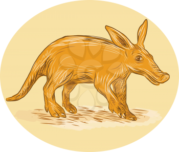 Drawing sketch style illustration of an aardvark or African ant bear or Cape anteater, a medium-sized, burrowing nocturnal mammal native to Africa viewed from side set inside circle viewed from the si