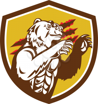 Illustration of a smirking California grizzly North American brown bear his paw raised viewed from the side with claw marks in the background done in retro style set inside crest shield. 