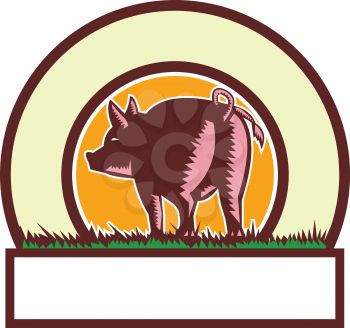 Illustration of a pig standing showing pigtail viewed from rear set inside circle done in retro woodcut style. 