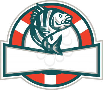 Illustration of a sheepshead (Archosargus probatocephalus) a marine fish jumping up set inside circle with lifesaver buoy
 in the background done in retro style. 