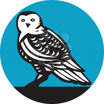Illustration of a snowy owl looking front viewed from the side set inside circle on isolated background done in retro style. 
