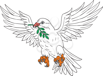 Drawing sketch style illustration of a dove flying with olive leaf in its beak looking to the side set on isolated white background. 