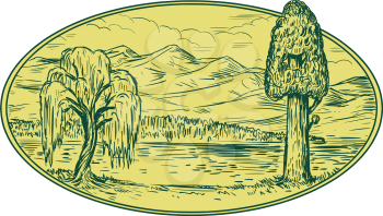 Drawing sketch style illustration of a willow and sequoia tree with lake and mountains in the background set inside oval shape. 