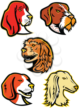 Mascot icon illustration set of heads of hound dogs like the basset hound, German wirehaired pointer dog, English cocker spaniel, beagle and saluki,  Arabian Greyhound or Tazi,  viewed from side  on isolated background in retro style.