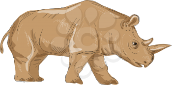 Illustration of a Northern White Rhinoceros Side  view done in hand sketch Drawing style.