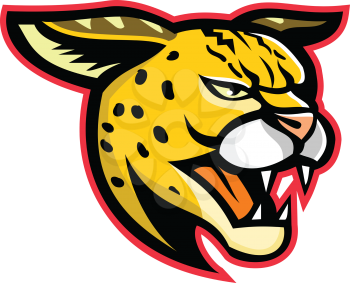 Sports mascot icon illustration of head of a growling serval, a wild cat native to Africa viewed from side on isolated background in retro style.