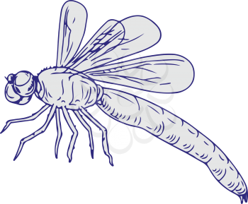 Drawing sketch style illustration of  dragonfly flapping wings side view on white background.