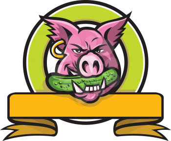 Mascot icon illustration of head of a wild pig, boar or hog biting a pickle or gherkin, a pickled cucumber with ribbon set in circle on isolated background in retro style.