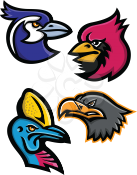 Mascot icon illustration set of heads of bird wildlife like the black throated magpie, cardinal, cassowary and the european eagle viewed from side  on isolated background in retro style.