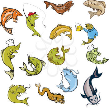 Set or collection of cartoon character mascot style illustration of trout, salmon, catfish, koi carp fish on isolated white background.
