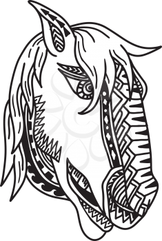 Tribal tattoo style illustration of  head of a horse, colt, stallion or bronco viewed from side on isolated white background done in black and white.