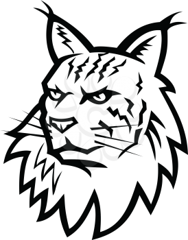 Black and White Sports mascot illustration of head of an angry Maine Coon, Maine shag or Coon cat, the largest domesticated cat breed in America viewed from front on isolated background retro style.