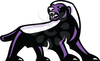 Mascot icon illustration showing full body of angry and aggressive honey badger (Mellivora capensis), also known as the ratel  viewed from side on isolated background in retro style.