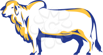 Illustration of a Brahman Bull Side View on isolated white background done in Retro style.
