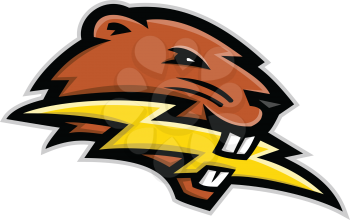 Mascot icon illustration of head of a North American beaver, a large, primarily nocturnal, semi-aquatic rodent, biting a lightning bolt or thunderbolt side view on isolated background in retro style.