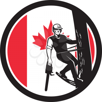 Icon retro style illustration of a Canadian tree surgeon, arborist, tree surgeon, or arboriculturist, a professional of arboriculture holding chainsaw up tree Canada maple leaf flag set inside circle.