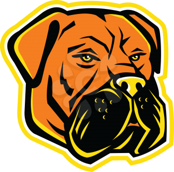 Mascot icon illustration of head of Bullmastiff, a large-sized breed of domestic dog, with characteristics of molosser dogs, and developed to guard estates on isolated background in retro style.