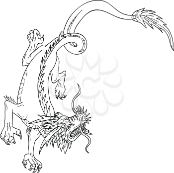 Drawing sketch style illustration of a Chinese dragon going down, stalking and looking up on isolated white background done in black and white.