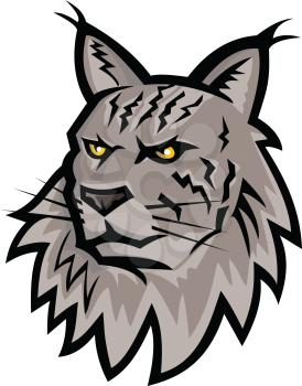 Sports mascot icon illustration of head of an angry Maine Coon, Maine shag or Coon cat, the largest domesticated cat breed in America viewed from front  on isolated background in retro style.